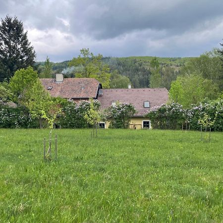 Bed&Breakfast Im Gruenen Nah An Wien Brettwies Dış mekan fotoğraf