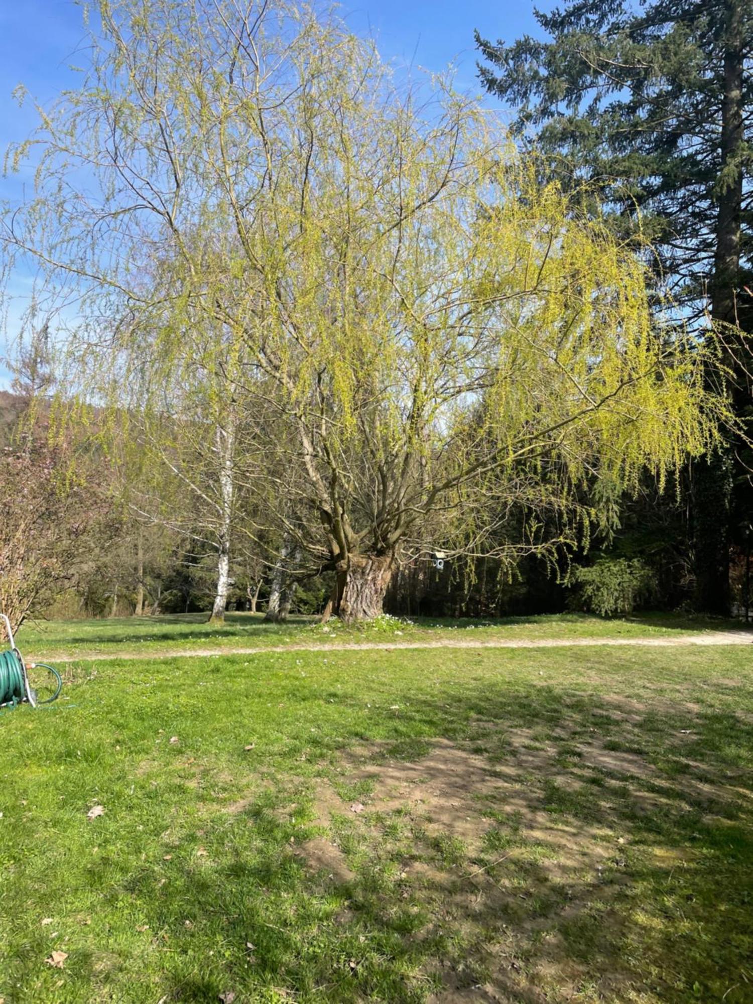 Bed&Breakfast Im Gruenen Nah An Wien Brettwies Dış mekan fotoğraf